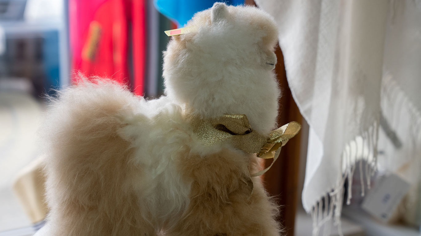 Alpaca & Wool Accessories