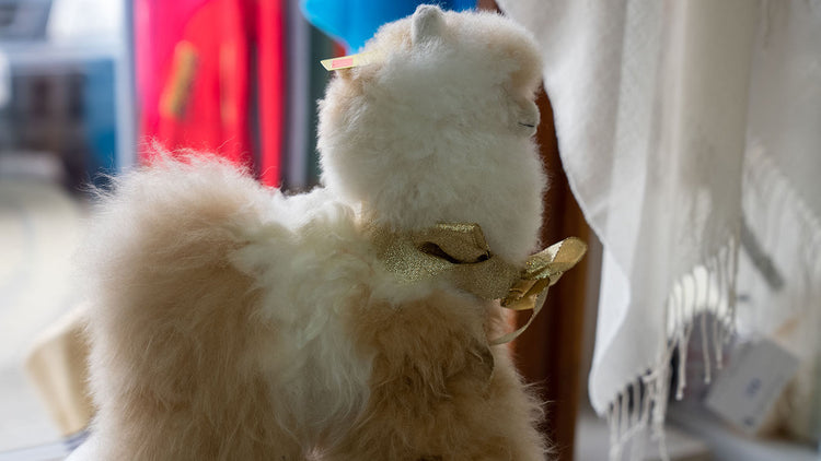 Alpaca & Wool Accessories